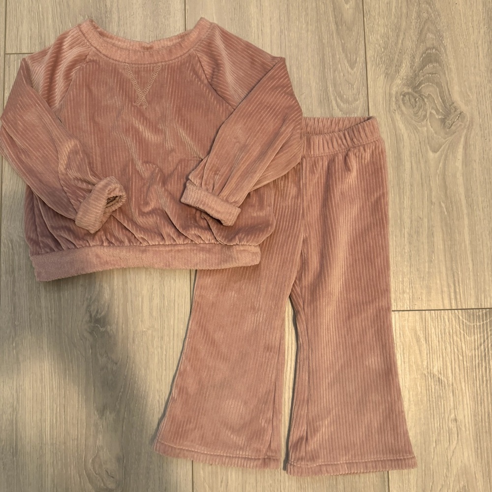 Cat & Jack- pink velour sweat set 2T